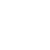 Laz-100